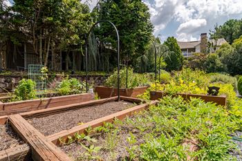 Community vegetable garden at willowest in vinings apartments in atlanta, ga 30339