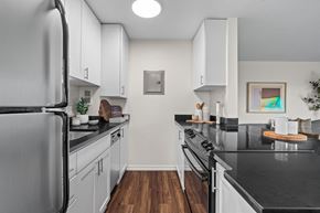 Seattle apartment for rent - Modern Kitchen at Skye Apartments in Seattle, WA 98121