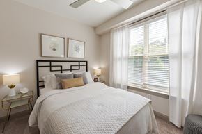 Raleigh apartment for rent - Spacious Bedroom at The Tribute Apartments in Raleigh, NC 27612