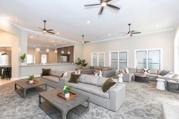 A large living room with couches and tables