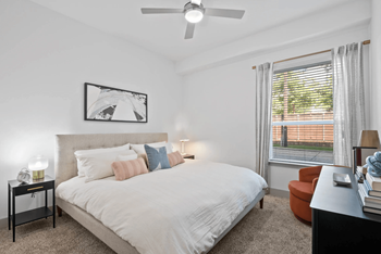 Large bedroom with oversized windows and plush carpet