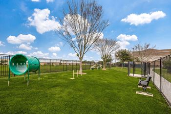 Dog park