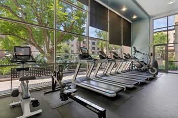A gym with treadmills, elliptical machines, and a rowing machine.
