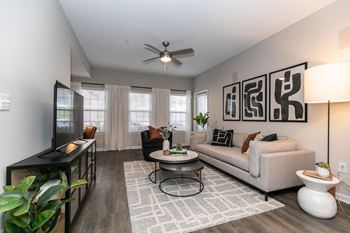 Our apartments offer a living room with a couch and a tv