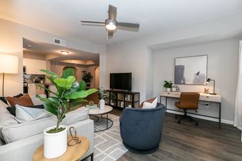 An open living room with a couch and a table with a plant