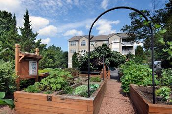 Outdoor garden space