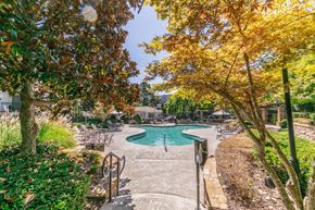 Alpharetta apartment for rent - a swimming pool with trees and benches next to it at Deerfield Village, Alpharetta