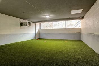 A room with artificial grass and white walls.