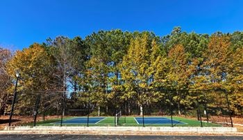New pickleball court
