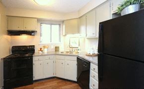 Winston-Salem apartment for rent - a kitchen with a black refrigerator and a sink