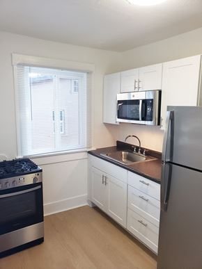 Santa Cruz apartment for rent - SA Kitchen
