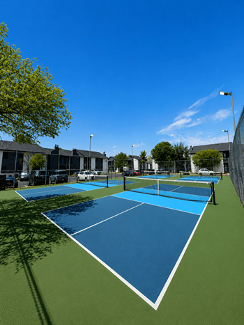4 Pickleball courts & racket rentals