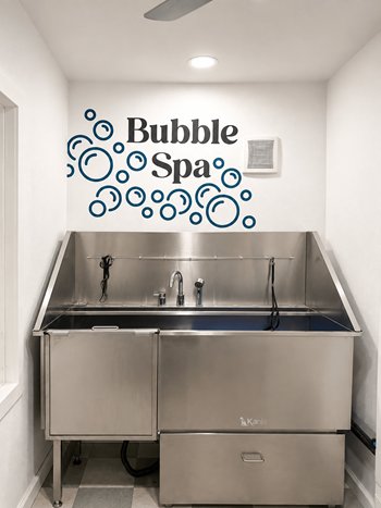 Pet washing station