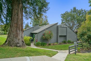 Gorgeous landscape with pet friendly walkway