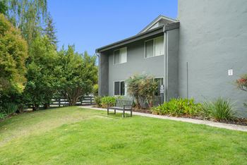 Gorgeous landscape with pet friendly walkway