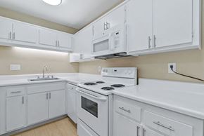 Santa Cruz apartment for rent - Kitchen