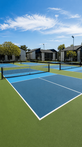 4 Pickleball courts & racket rentals