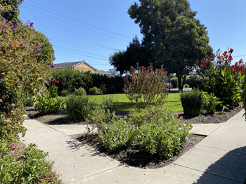 Landscaped courtyard