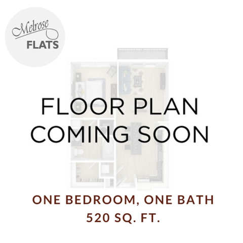 Floor plan for 1 bed, 1 bath, 540 sqft