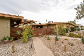 Desert landscaping