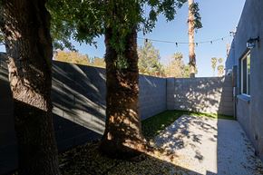Phoenix apartment for rent - A tree in a yard with a wall and a building in the background.