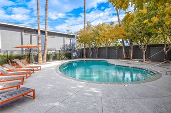 Sparkling pool