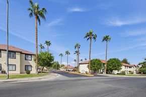 Yuma apartment for rent - A street view of a residential area with palm trees and houses.