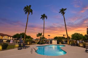 Yuma apartment for rent - A pool surrounded by palm trees at sunset.