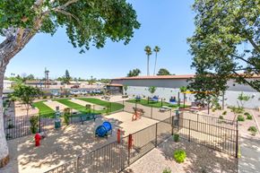 Phoenix apartment for rent - Pet Playground at Aspire West Phoenix, Phoenix, AZ