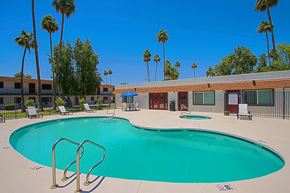 Mesa apartment for rent - A large swimming pool surrounded by palm trees and lounge chairs at Aspire Mesa, Mesa.