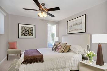 Ceiling fan