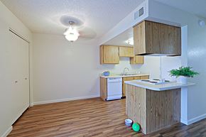 Tempe apartment for rent - a kitchen and living room in an apartment