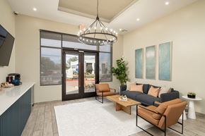 Phoenix apartment for rent - A modern living room with a grey couch, a brown chair, and a white rug.