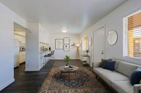 Phoenix apartment for rent - A living room with a couch, a table, and a rug.