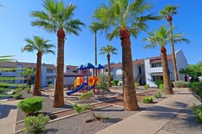 Phoenix apartment for rent - a playground and palm trees in front of a building