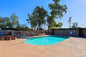 Phoenix apartment for rent - A small pool in a backyard with a bench and trees.