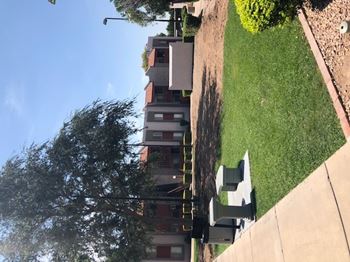 Dog park