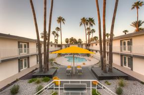 Phoenix apartment for rent - A community pool surrounded by palm trees and a yellow umbrella.