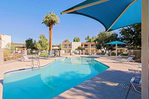Scottsdale apartment for rent - A pool surrounded by chairs and a palm tree.