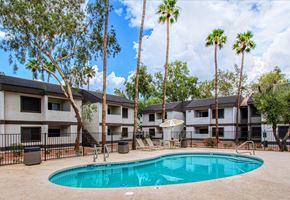 Phoenix apartment for rent - A swimming pool surrounded by palm trees and apartment buildings.