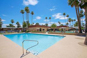Phoenix apartment for rent - a large swimming pool with palm trees in the background