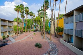 Phoenix apartment for rent - a courtyard with palm trees between two apartment buildings