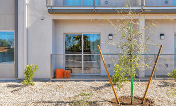 Spacious patio 