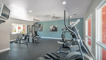 Fully-equipped gym with exercise equipment and a television 