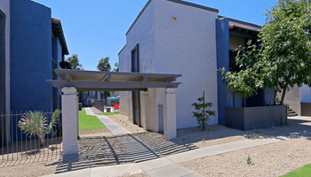 Wood-topped pergola