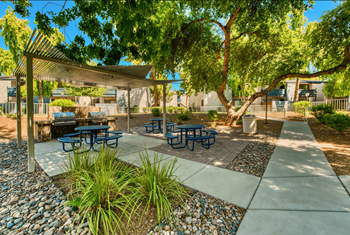 Picnic area