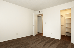 Phoenix apartment for rent - an empty bedroom with a closet and a door to the bathroom