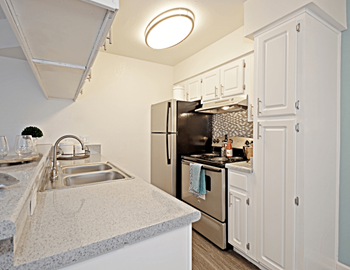 Stainless steel appliances*