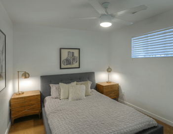 Ceiling fan