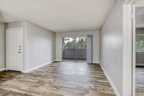 Phoenix apartment for rent - A room with a white door and a window with a view of trees.